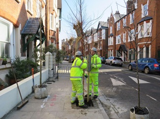 Two men in high vis clothing planting a street tree